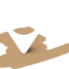 Image icon